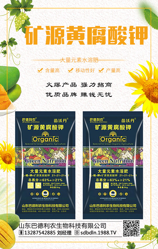     復合肥行情漲跌互現！2019年12月末最新價格走勢預測！