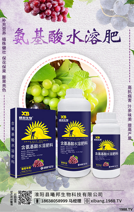 明年種植什么更賺錢？2020年七大賺錢種植項目，快來看看吧！