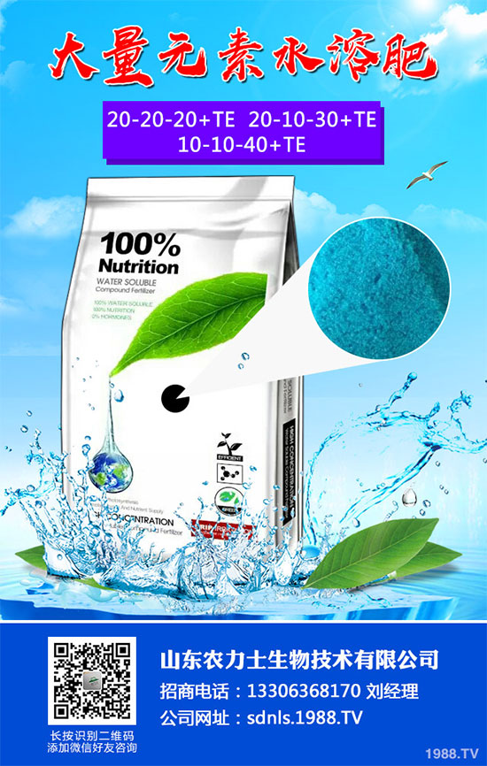 吃板栗有哪些好處？板栗的功效作用及食用禁忌