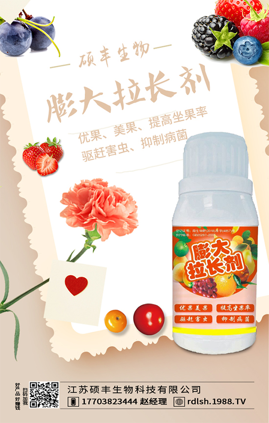 大棚西芹怎么種植？西芹的種植環(huán)境要求！