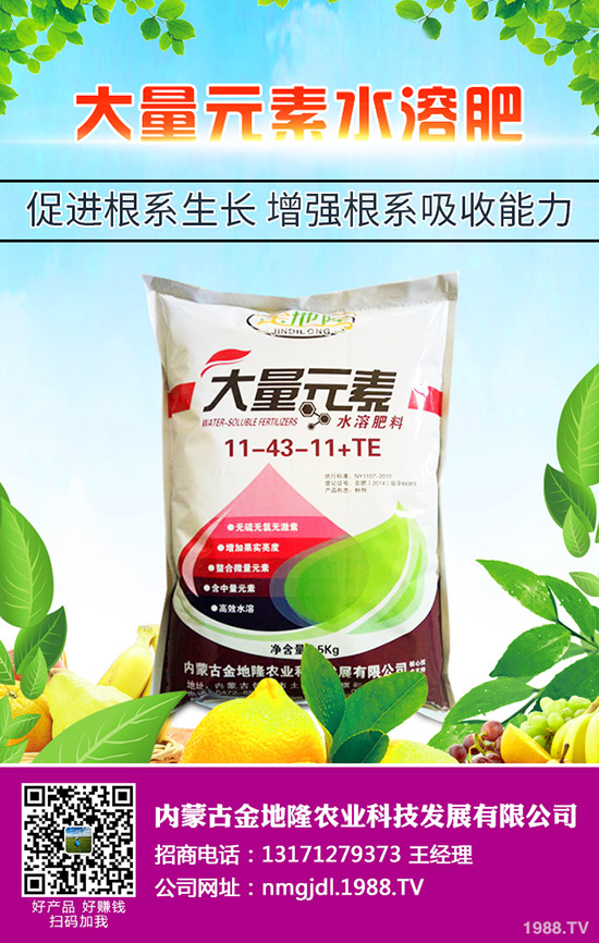 2020春玉米更佳播種時間，春玉米的播種技術(shù)要點