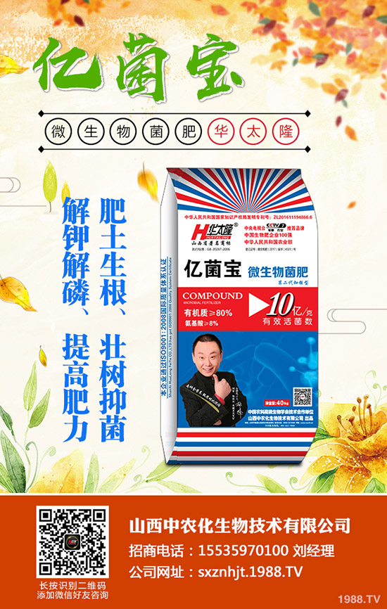     二銨價格仍存小幅下滑空間？2019年12月底磷酸二銨行情分析！