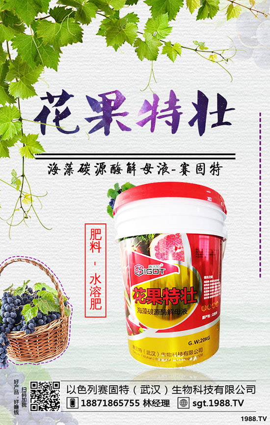 蠶豆怎樣種植才能高產,蠶豆的種植時間和方法!