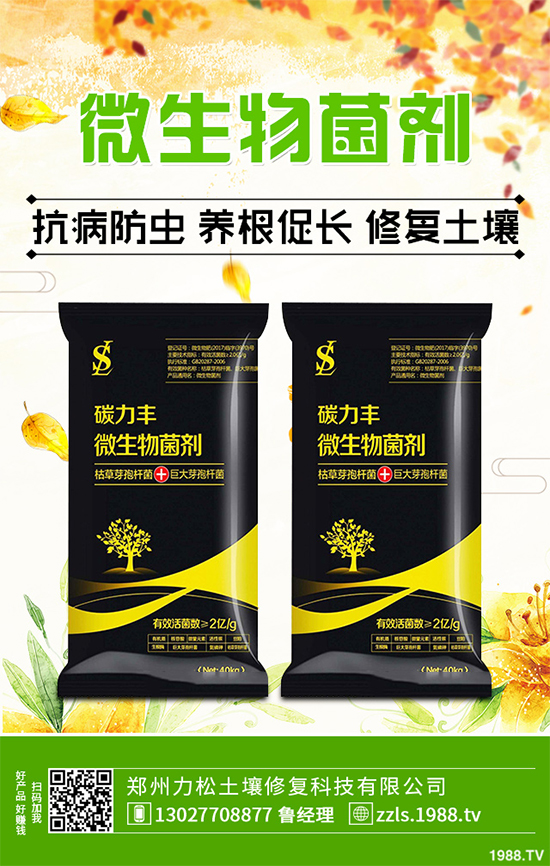 天麻該怎么種植？天麻的環(huán)境要求及種植技巧