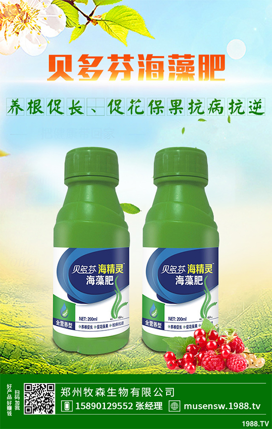 天麻該怎么種植？天麻的環(huán)境要求及種植技巧