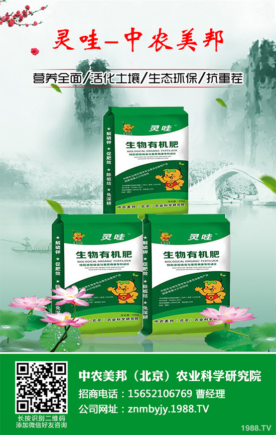 吃天麻有哪些好處？天麻的功效作用及食用禁忌