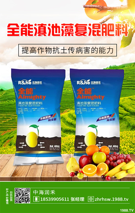 新鮮天麻和干天麻有哪些區(qū)別？那個效果更好？