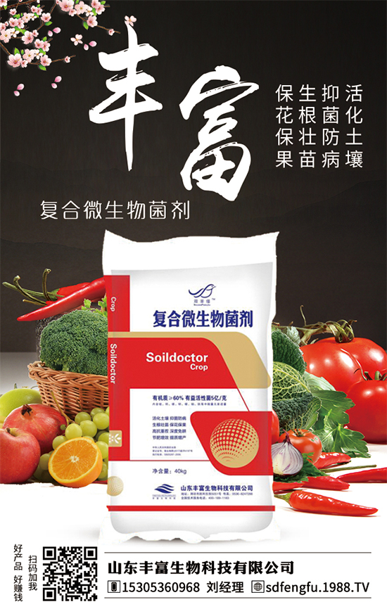 枇杷什么時(shí)間嫁接比較好？嫁接的枇杷樹幾年結(jié)果？（枇杷樹嫁接方法）