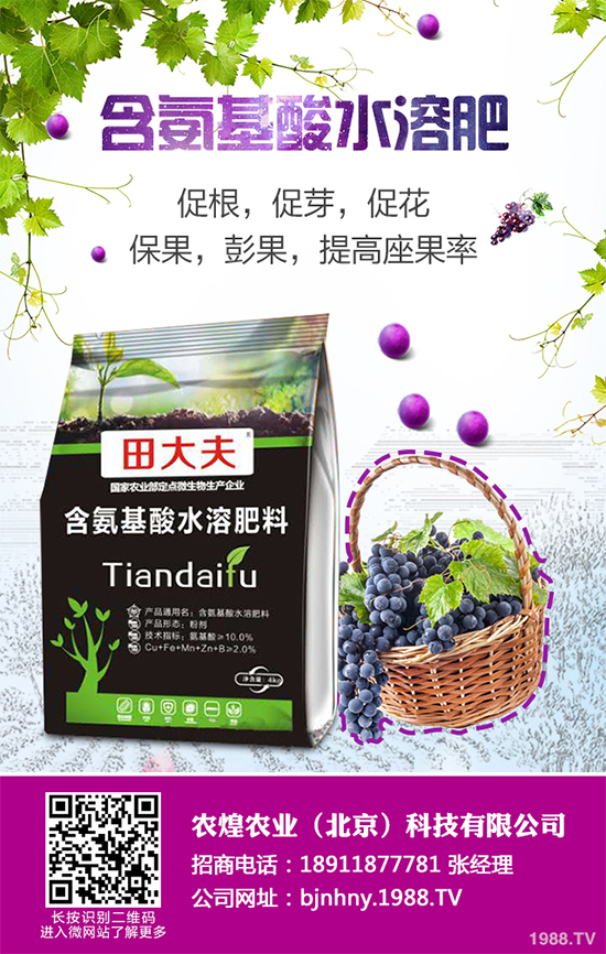 降雪過后，蔬菜大棚你知道該怎么管理嗎？