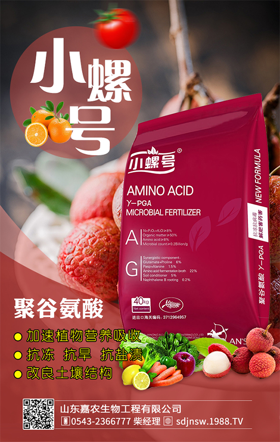 金針菇什么時(shí)間栽培？金針菇生長條件！