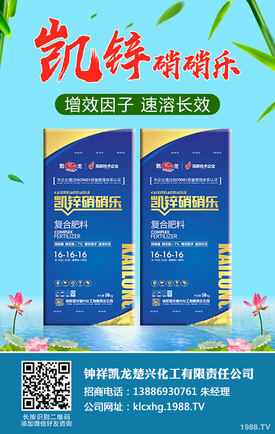 草莓肥害是什么原因，如何避免草莓肥害的發(fā)生？