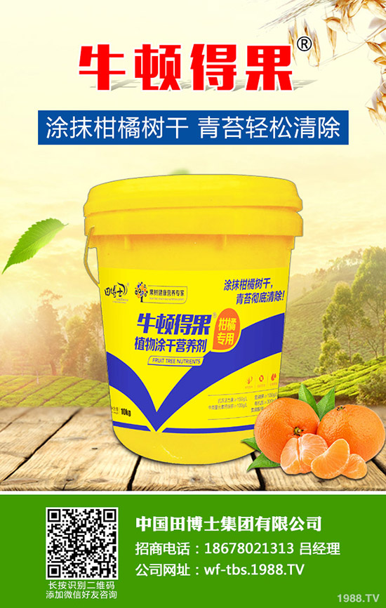 2020種草莓賺錢嗎？草莓種植的成本及前景預測！