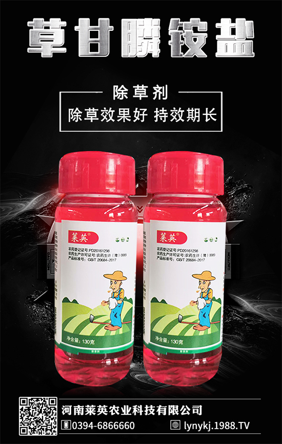     橙子價(jià)格如何？貴么？2020種植橙子賺錢(qián)么？種植前景怎么樣？