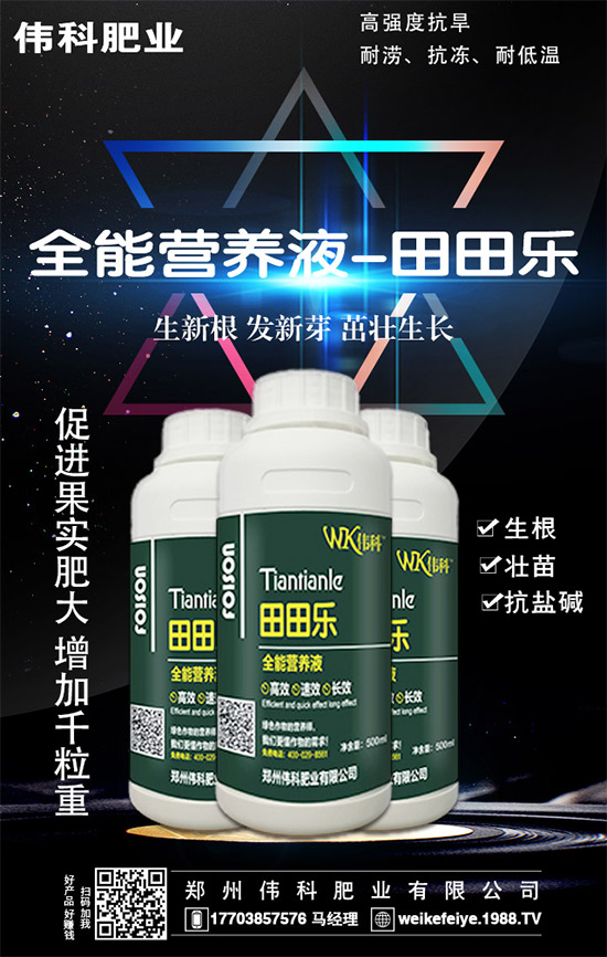     橙子的營(yíng)養(yǎng)價(jià)值有哪些？功效與作用有哪些？不易哪些人群食用？