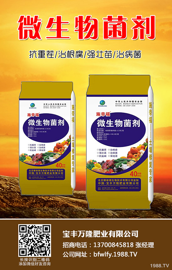 花生什么時候種植，花生播種技術(shù)要點(diǎn)總結(jié)