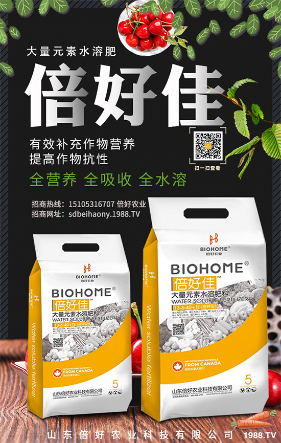 木耳菜如何過冬？木耳菜冬季管理措施
