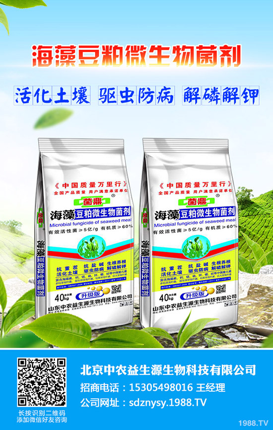     2020年種植什么比較好？常見蔬菜露天種植時(shí)間表！