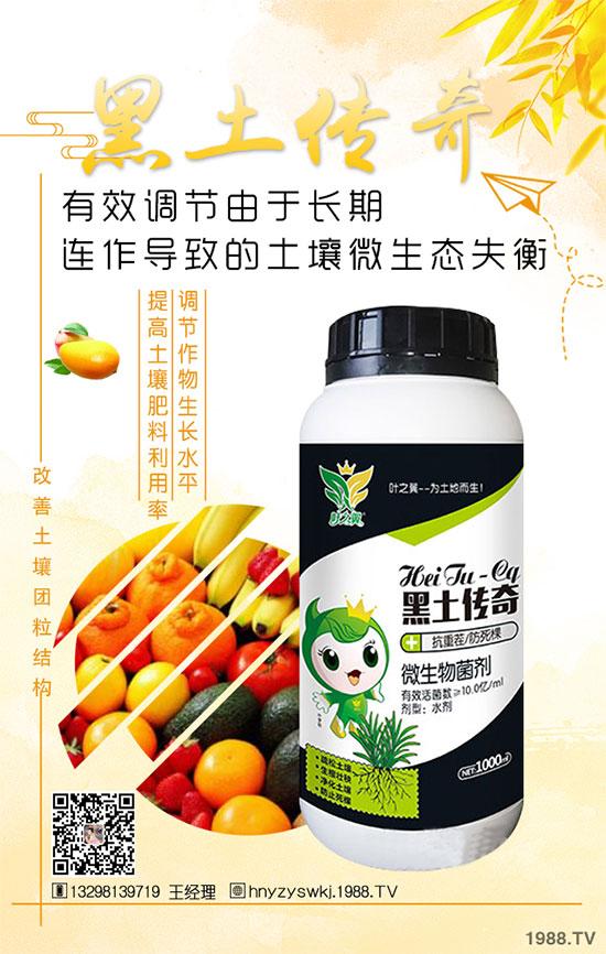 花椒樹什么季節(jié)種植？花椒樹的種植注意事項(xiàng)！