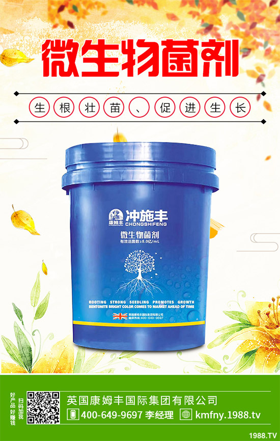 我國南方該怎樣種植藍莓？藍莓高產(chǎn)種植技術(shù)要點