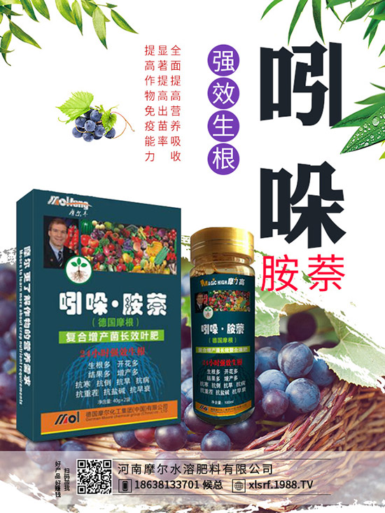 煙草主產(chǎn)地在哪里，煙草種植方法有哪些？