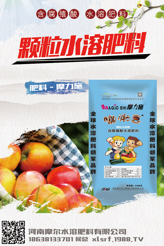 葉面肥種類有哪些，如何正確使用葉面肥？