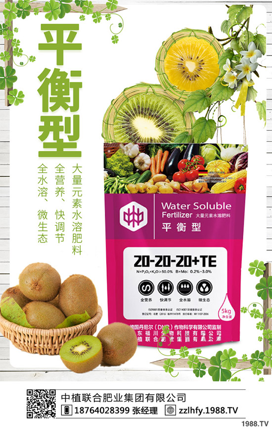 你知道什么是洋薊嗎？洋薊大概多少錢一斤？快來看看