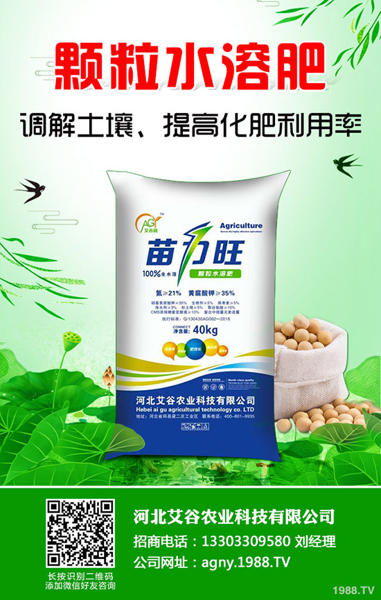 空心菜怎樣施肥產(chǎn)量高，空心菜施肥技巧有哪些？