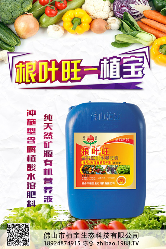 秋蘿卜什么時(shí)候種？該怎么種？2019秋蘿卜種植管理方案