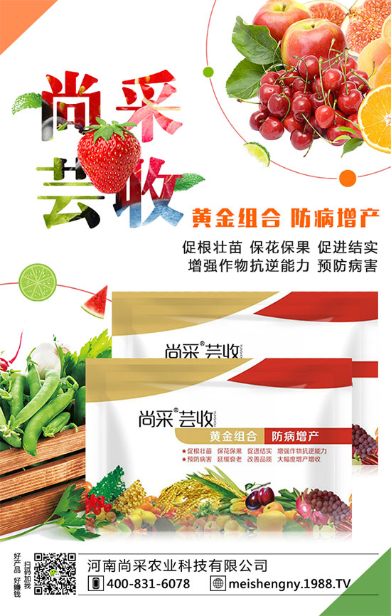 棗樹座果率低的原因是什么呢？棗樹如何提高座果率？