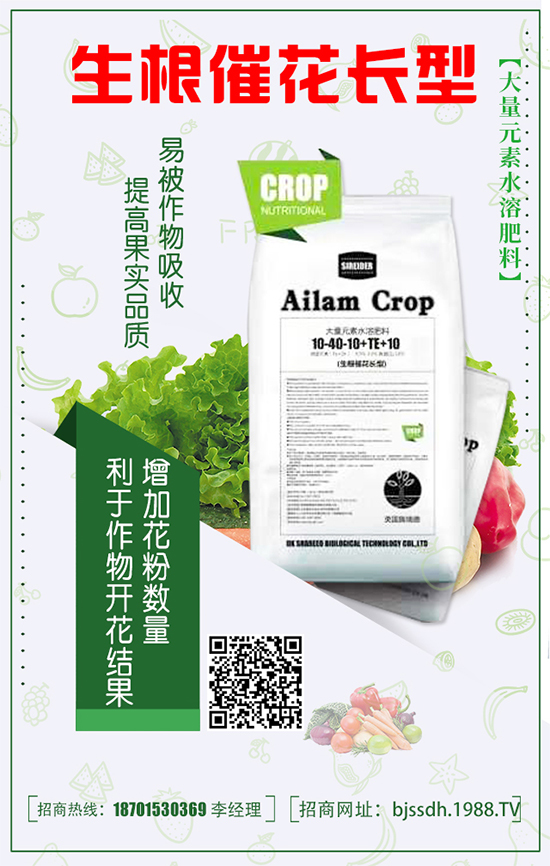 豌豆什么時間種植？豌豆高產(chǎn)種植技術(shù)要點有哪些？