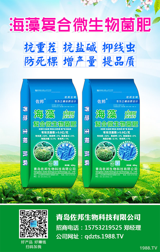     芹菜是日常生活中常見的蔬菜品種，對種植環(huán)境要求相對較高，只有在黏性土壤上才可以正常的生長。那么，芹菜什么時候種植比較好？大棚芹菜該如何種植呢？