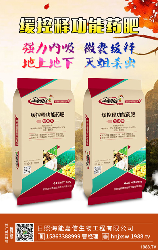 �۲�ԓ��ηNֲ��ע��Щʲô���۲˸߮a(ch��n)�Nֲ����