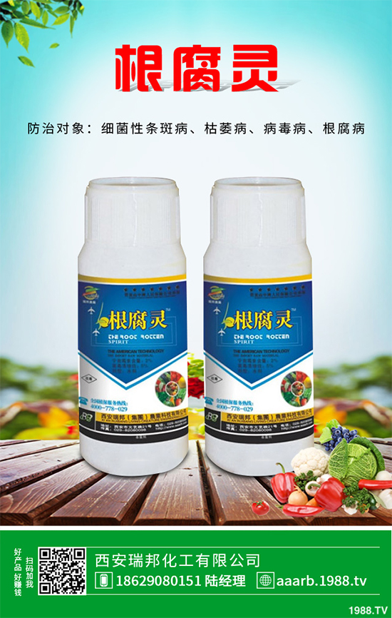     ���(sh��)�������r(ji��)��