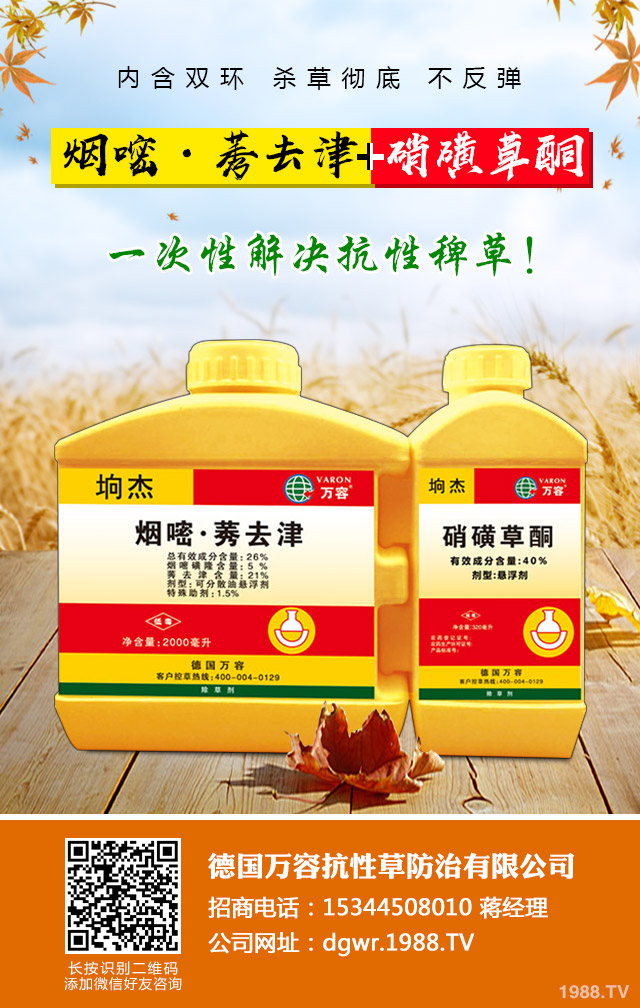 小麥除草劑怎么施用？小麥除草劑施用方法