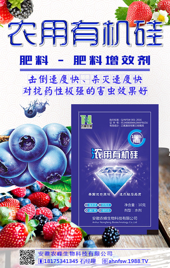 枸杞得了炭疽病怎么辦？枸杞炭疽病危害及防治方法！