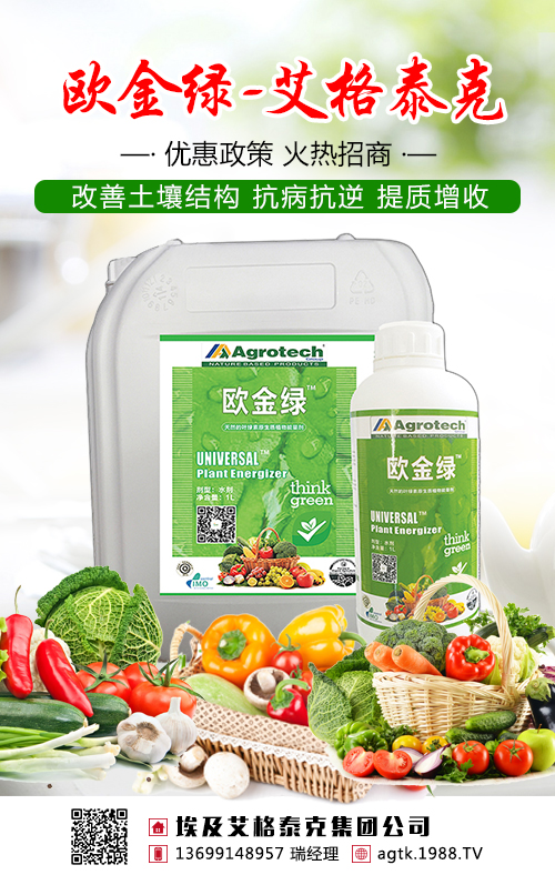 不要盲目施肥了，茶葉需要吃對糧！