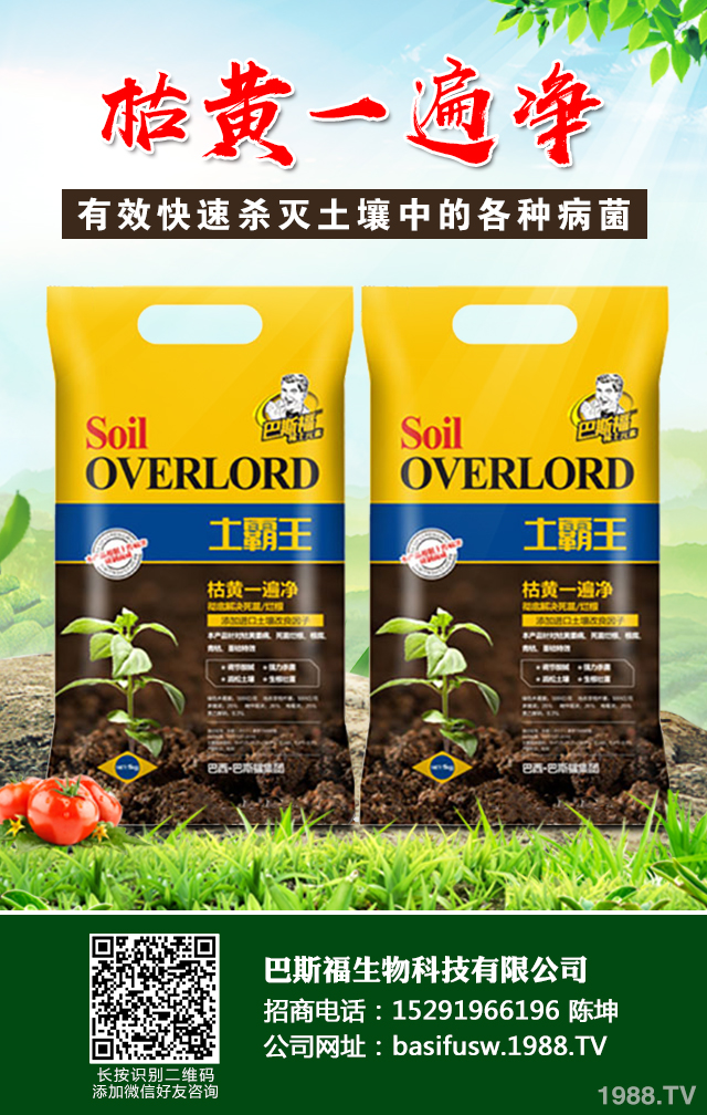 小麥葉子發(fā)黃怎么辦？小麥葉子發(fā)黃防治技巧