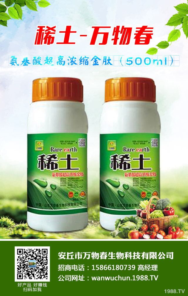 大蔥種植怎么管理？秋季大蔥管理好方法