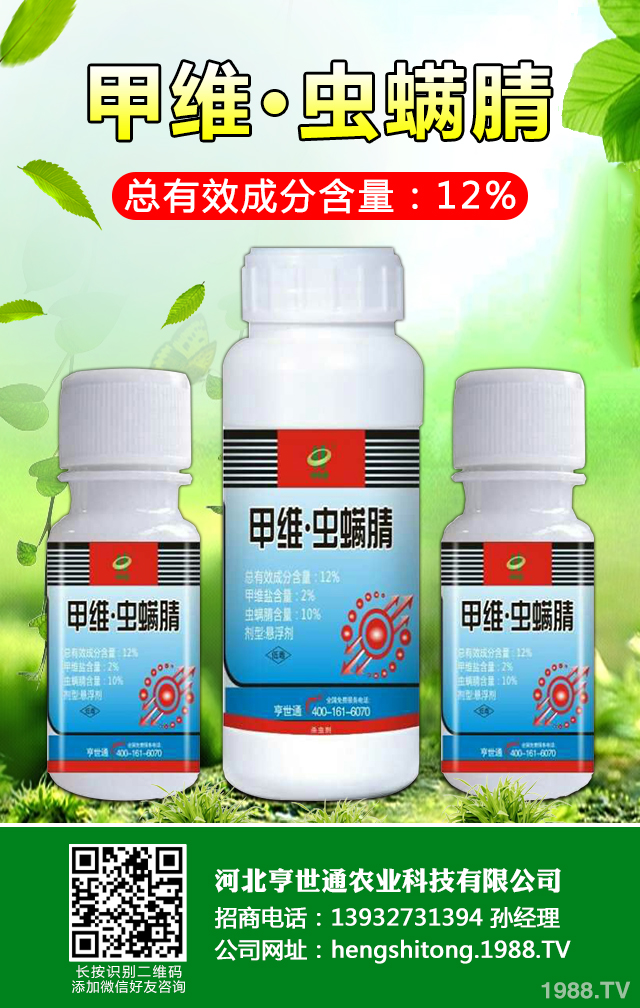 如何巧治馬鈴薯甲蟲害？馬鈴薯甲蟲害防治技巧