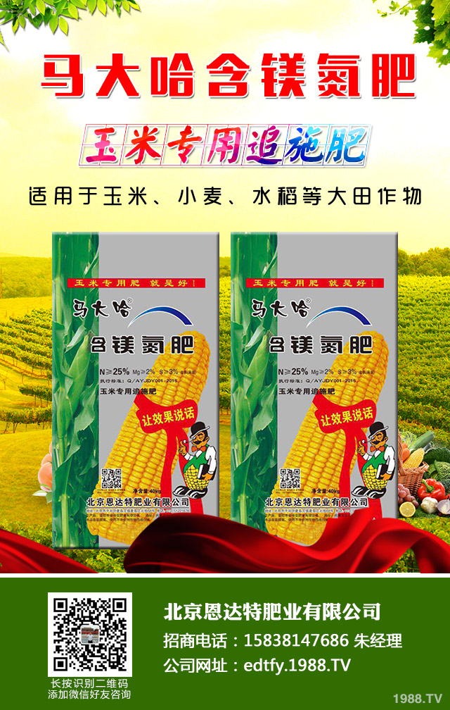 ���[��������ô���������[�������ɹ���