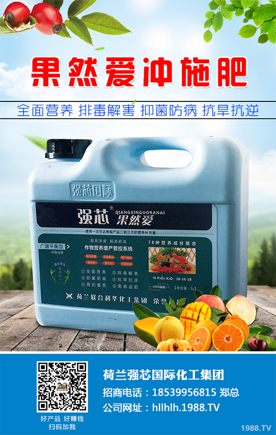 芥菜種植需要注意什么？芥菜高效種植技術及管理事項