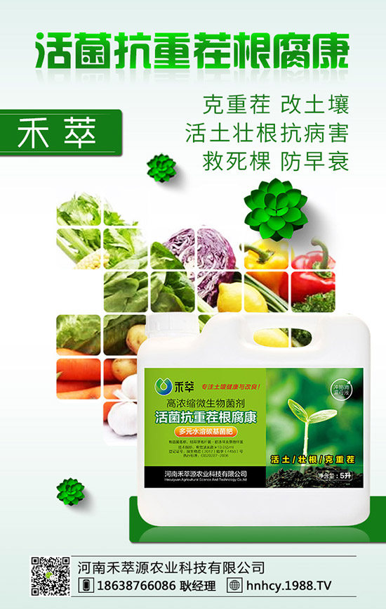 ����÷��ô�޽�������÷�޽ӷ�����