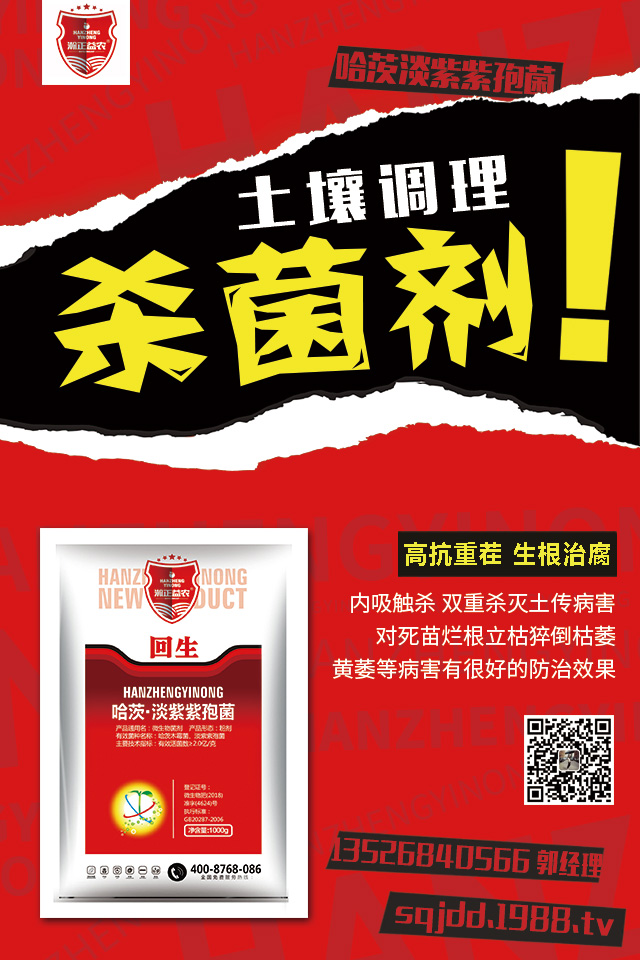 茄子土傳病害怎么辦？茄子嫁接可避免土傳病害