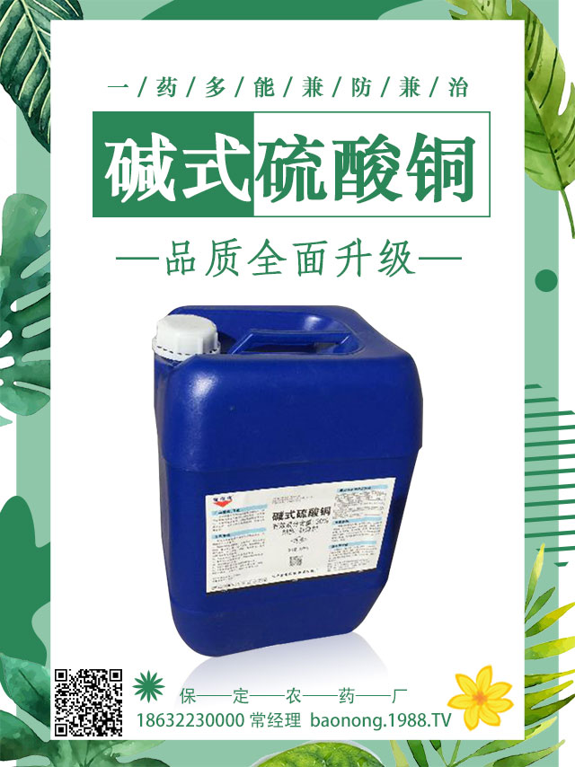 茄子土傳病害怎么辦？茄子嫁接可避免土傳病害