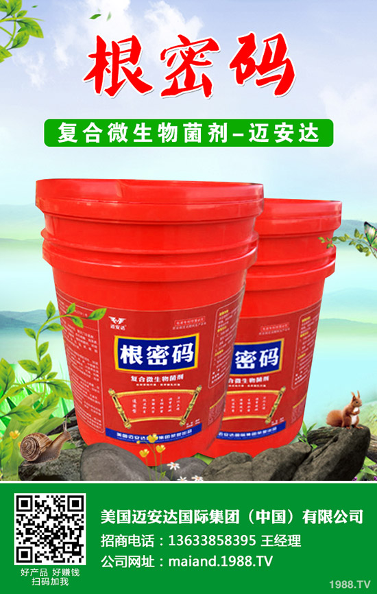 西葫蘆什么時(shí)候種植？西葫蘆種植技術(shù)！