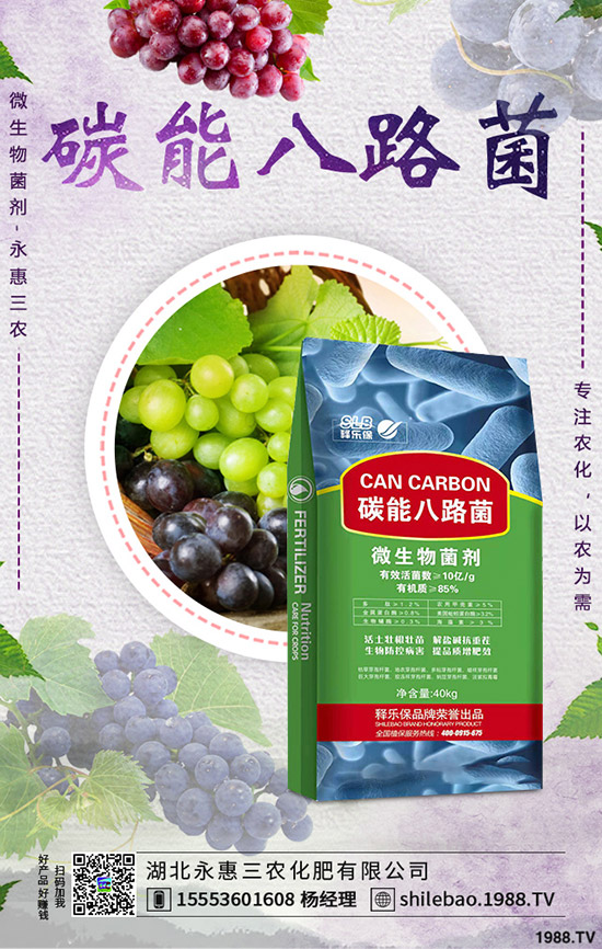     花菜什么時(shí)候種植合適？花菜種植時(shí)間及種植管理技術(shù)！