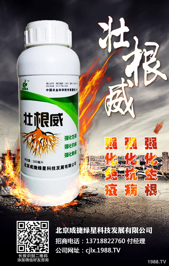 青椒的種植方法有哪些？青椒種植過程中需要注意的幾大問題