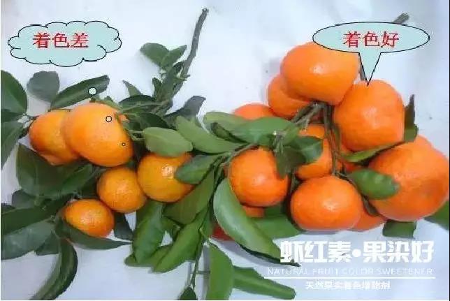 天然果實(shí)著色增甜劑——蝦紅素●果染好！