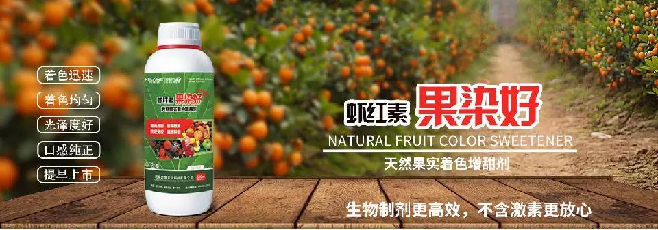 天然果實(shí)著色增甜劑——蝦紅素●果染好！