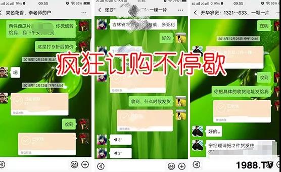 蚜蟲、飛虱防不住？一片藥輕松搞定！預(yù)防率95%，持效長達120天！